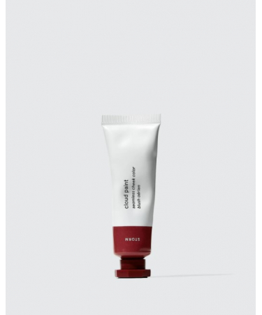Рум'яна GLOSSIER Cloud Paint Storm