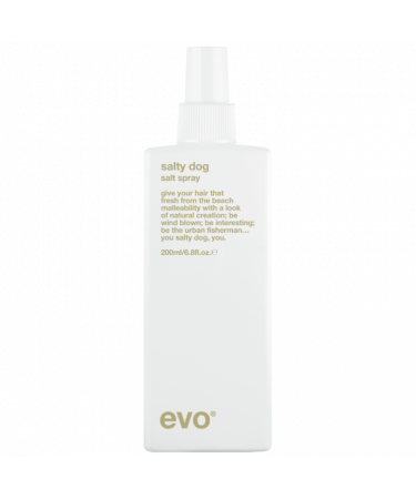 Текстурувальний спрей Evo Salty Dog Salt Spray